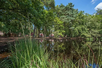 Neu gestalteter Bungalow im Grünen mit...