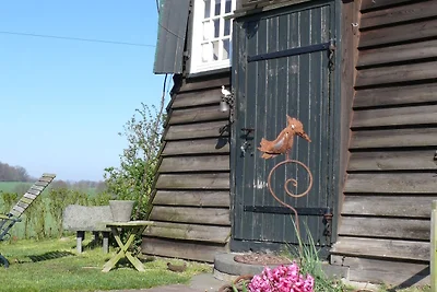 Schöne authentische Mühle nahe am Meer