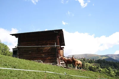 Appartement in Bellwald bij Skipistes