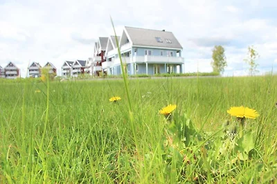 Liebevoll eingerichtetes Appartement