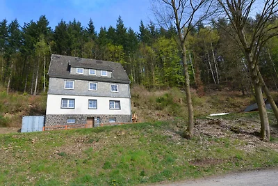 Idyllisches Ferienhaus im Wald in Liesen