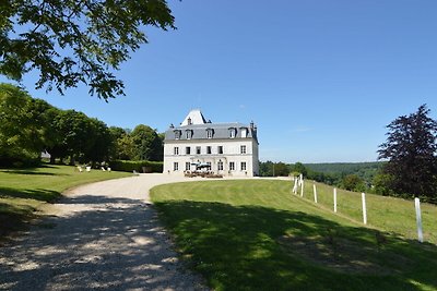 Castello storico con terrazza ad Asnières