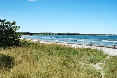 Strandparadies mit Pinien