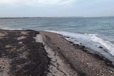 24 Personen Ferienhaus in Øster Assels