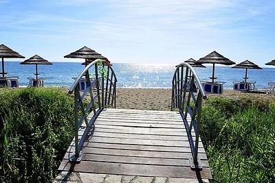 Graziosi appartamenti nella splendida Corsica