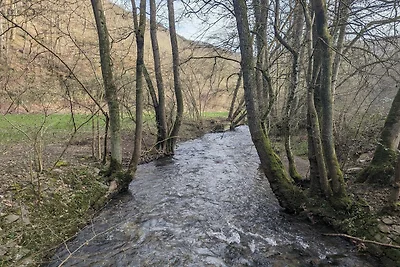 Hotel Koblenz Valley Suite mit Whirlpool