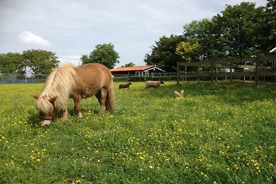 Grijpskerkseweg 3 Voorkant