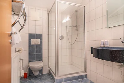 8 Pax Appartement in Neustift in het...