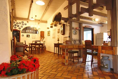 Mühle in Medelby