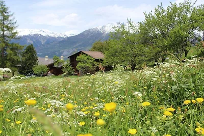 2 im Chalet Primula