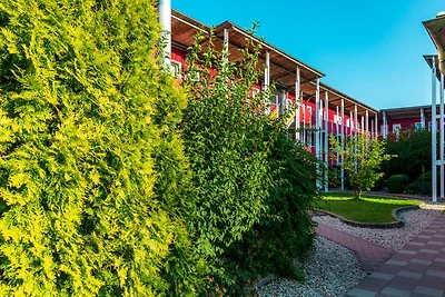 Appartement mit All inklusive Angebot und...