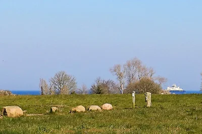 10 Personen Ferienhaus in Rudkøbing-By Traum