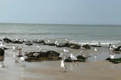 Studio in Knokke-Heist am Strand