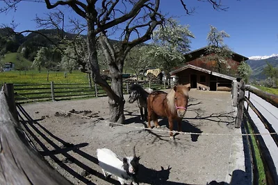 Appartamento per vacanze con 1 camera da...