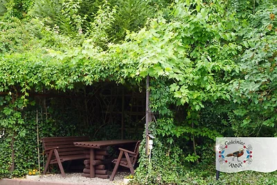 Lussuosa casa vacanza con piscina privata
