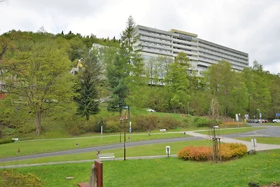 Geräumiges Appartement nahe Skigebiet in...