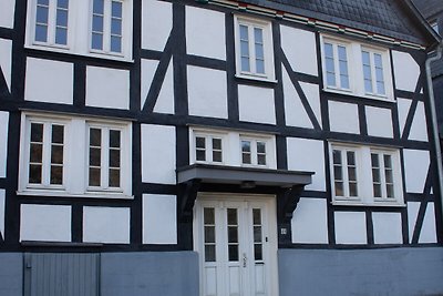 Großes Ferienhaus in Winterberg-Silbach mit H...