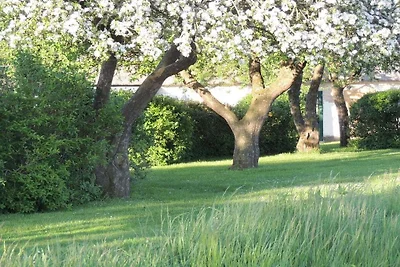 Landhaus-Schleiblick