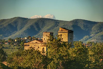 Castello medievale con piscina fra i boschi...