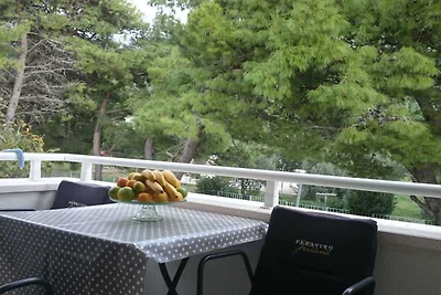 Apartments Despot Zaostrog RY