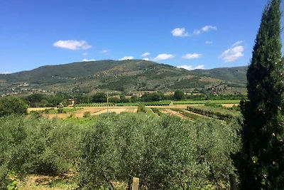 Spaziosa villa per vacanze con piscina
