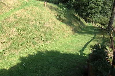 Casa vacanze a Engenstein con terrazza