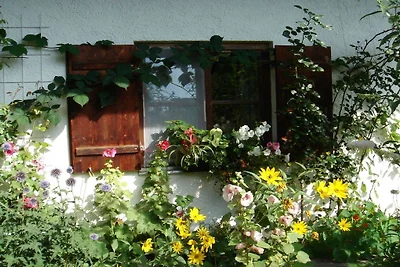 Appartamento per vacanze con vista sui...