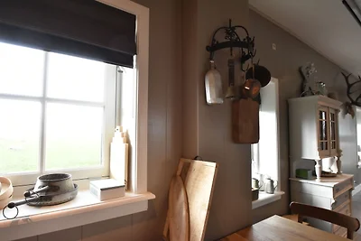 Vakantiehuis in Beemster bij een molen