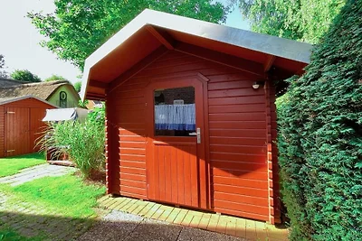 Vakantiehuis in Nieblum met zwembad