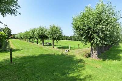 Calma casa vacanze a Burgh-Haamstede con...