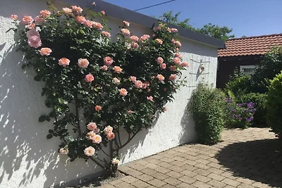 Wymarzony dom wakacyjny z idyllicznym ogrodem
