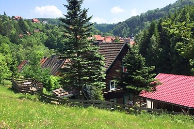Großes Ferienhaus in Rübeland im Harz mit...