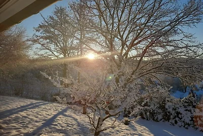 Vakantiehuis in Bürberg met zwembad