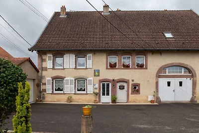 Schönes Haus in Niderviller bei Saint Croix