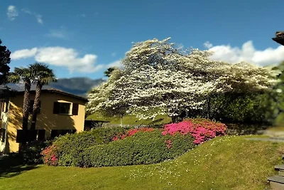 Camelia, Casa Azalea