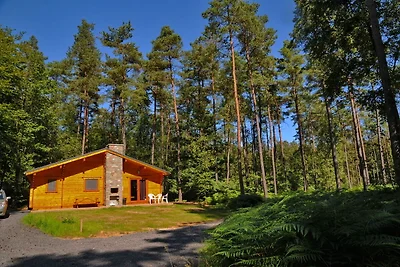 Chalet in legno con stufa a legna