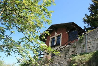 "Wohnen im Weinberg"