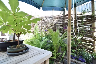 Tuin (zomer) Tuin (zomer)