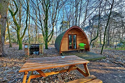 Pod glamping moderni, ammessi animali domesti...