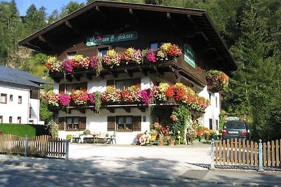 Wohnung in Saalbach nahe Skipisten