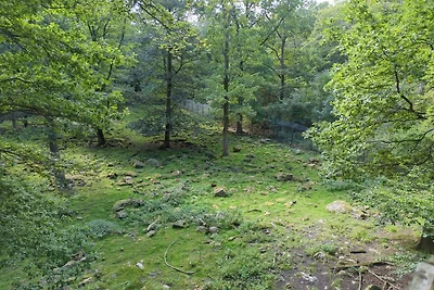 Vakantiehuis met zwembad