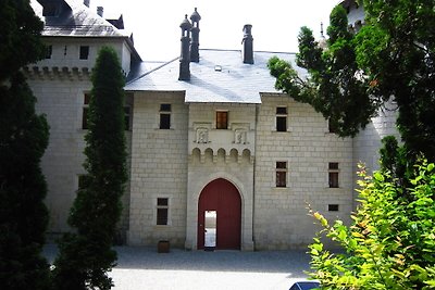 Kasteel met zwembad in Serrières-en-Chautagne