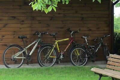 Schönes Ferienhaus in Lubin mit Garten