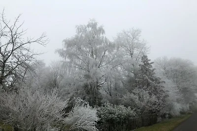 Ferienhaus in Wiesbaum mit Barbecue