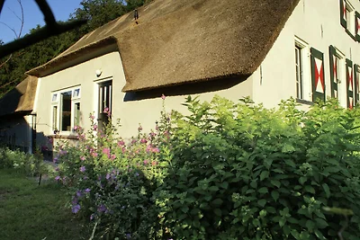 Ruhiges Bauernhaus in Doorn in der Nähe des...