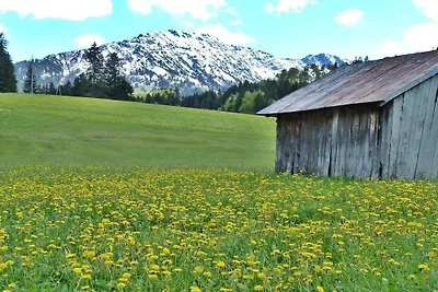 Appartement de vacances Alpenstern Finy (M)