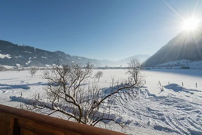 Appartement an der Skipiste in Maishofen