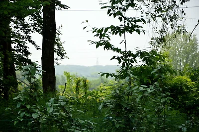 Gîte rurale circondato da alberi da frutto