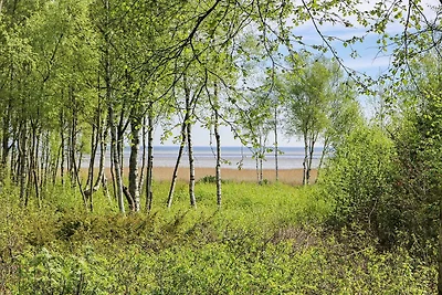 6 persone case ad Hadsund