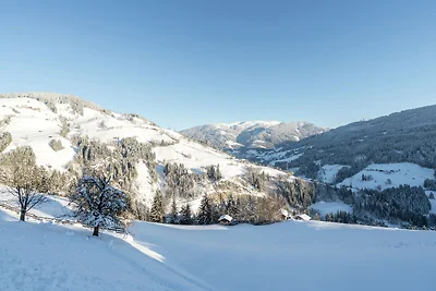 Appartement in der Nähe des Skigebietes